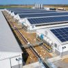 Cách Giảm Tiền Điện Cho Các Trang Trại Chăn Nuôi